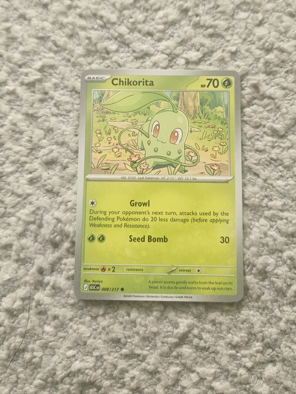 POKEMON TCG Card Chikorita Ascended Heroes 008/217